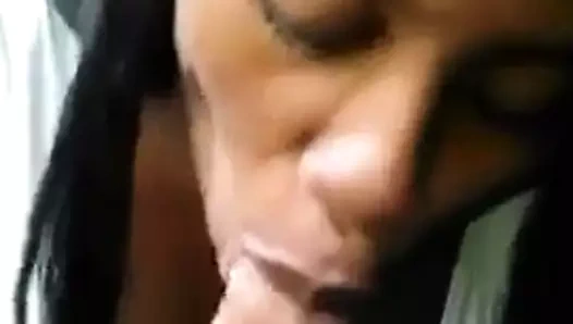 siyah civciv slobs üzerinde bbc