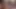 Büyük siyah damızlık darbeler iki büyük musluklar önce cumshot
