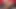 Muhteşem porno yıldızları Anife de Paloma ve Meggie P iki adam tarafından sikiliyor
