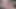 Seksi öğrenci iyi notlar almak için öğretmeni baştan çıkarıyor