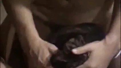 Japon ev kadını lanet. karılık görevleri yerine getirildi