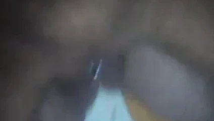 Yakın çekim lanet arasında traş ve deldi kedi ve taşaklar