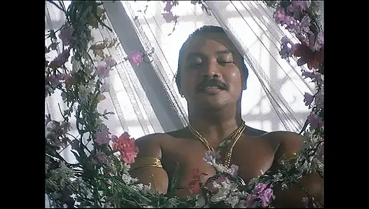 Aladdin ve Harika Kuyruk