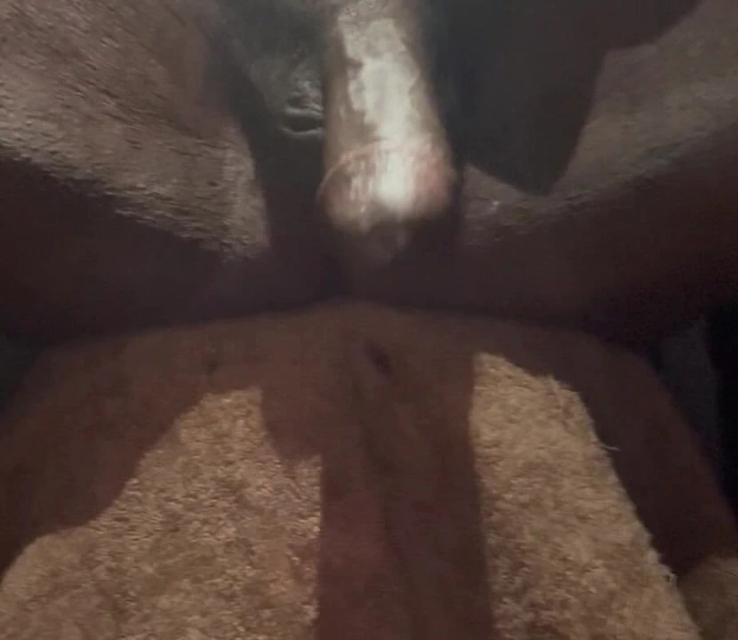 Eğlenceye katılmak isteyen eğlenceli zamanlar