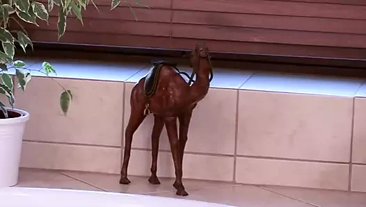 Çarpıcı görünümlü Alman orta yaşlı seksi kadın sert sikiliyor