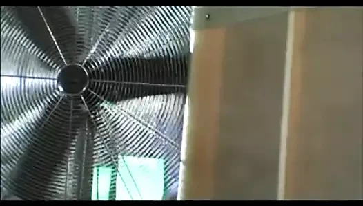 ABD'de gerçek ahlaksızlık!!! - cilt #18