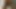 abanoz preta69