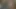 Seksi ve sevimli üniversiteli kız oyuncu seçmelerine geliyor, kıyafetlerini değiştiriyor ve külotunu ve götünü göstermek için bir elbise giyiyor