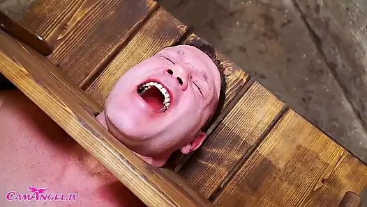 Bir terör tavşanı nadiren yalnız gelir.