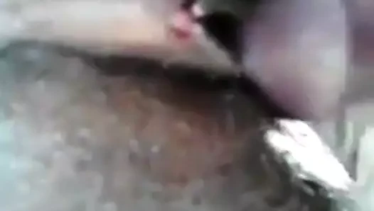 Amcık sikişi