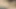 Desi fun semen released inside