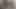 Charlie ve Cyndi ile soytarı soytarı (hd)