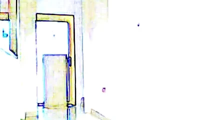 Susi'nin yürüyüşü