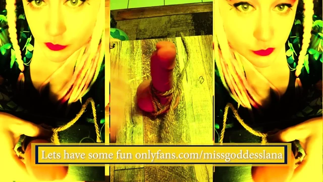 bağlı horoz ve topları joi top delme gelişmiş