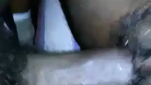 onu kedi doldurma