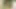 Tgirl bruna aylla götünü makineye siktiriyor
