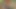 Olgun çift piknik sonrası oynuyor