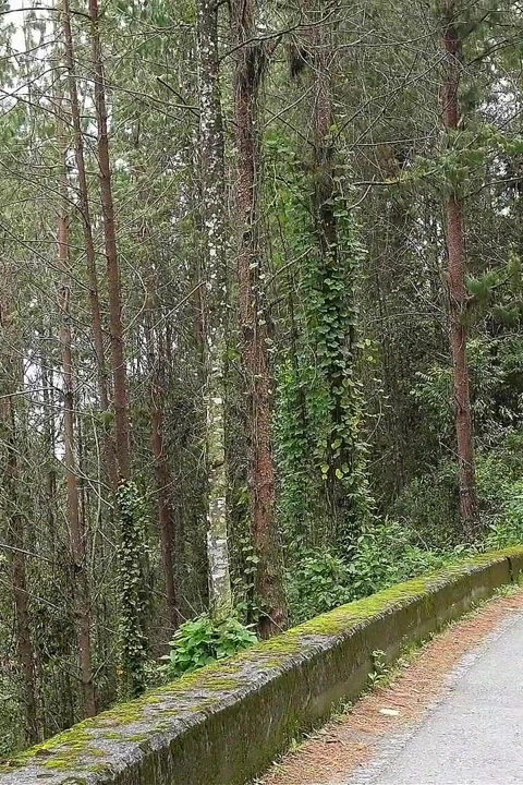 Kamyonumdan bir yabancıyı alıyorum ve onu sert ve gerçek sikiyorum - sara blonde ve danner