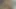 Harika kıllı genç kedi becerdin yavaş yavaş