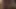 00001Ellie Bee
