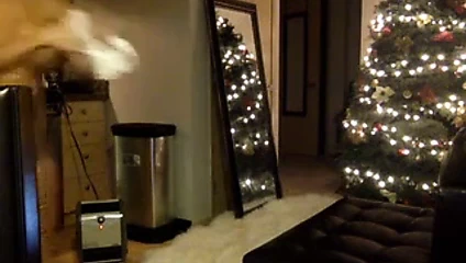 Çarpıcı Asya web kamerası kız berbat yapay penis