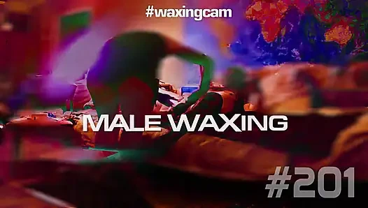 Male Waxing