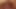 Amateur122101