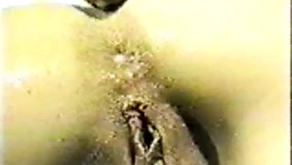 pov damlayan anal anal koli