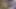 Kız masum görünüyordu ama spermimi yuttu