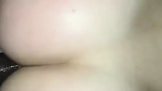 Beyaz civciv alır ona ilk büyük siyah horoz