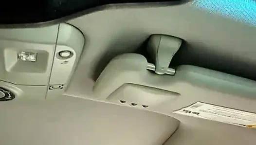 Gül Vibratörünün Hızlı İncelemesi