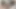 Seni piç kurusu sikten süt çıkana kadar götümü sik