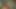 Erkek arkadaşını tekmelerken zenci bir adamla sikişiyor