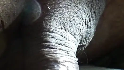 Kız kardeşimle evde oynuyorum