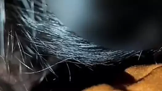 Hot na naman ka fubu ko kaya bilis ko labasan.