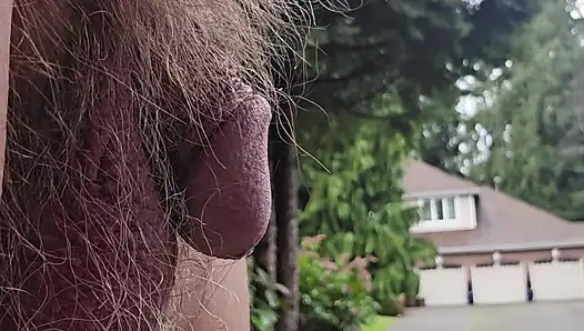 Ön kapıdan dışarı