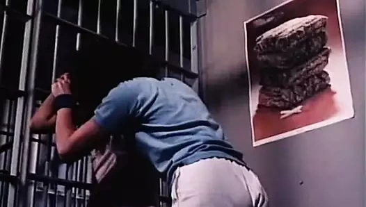 sokak kedisi-2 (1984)