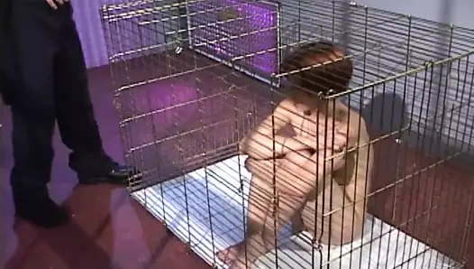 Sadece lanet olası çılgın!!! - cilt 02