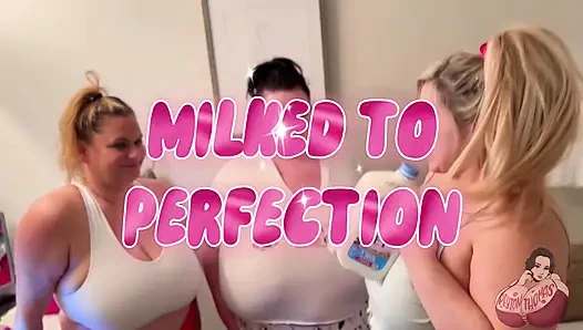 Perfection'a sağılmış