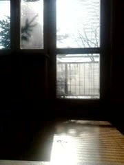 ilk kez halka açık