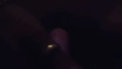 Tavşan vibratör oyuncak kedi