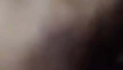 bulgaristan bulgaristan