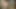 Web modelleri bahçe kızı 1. promosyon