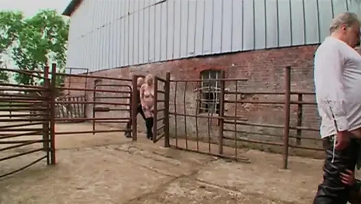 Bağlı Sarışın Yoğun BDSM Üçlü Sekse Boyun Eğiyor