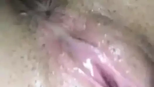 Hızlı sabah tohum ırkı