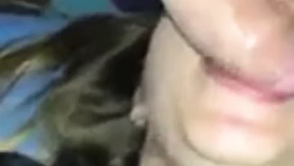 okul kız emmek büyük horoz