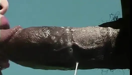 Deri dişli esmer vixen sikiş zevki için siyah yarağı kölesini kullanıyor