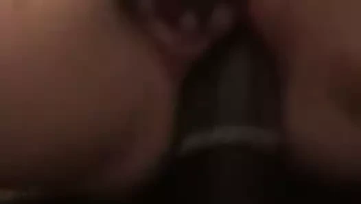 sis gider vahşi üzerinde siyah