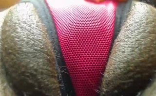 olgun amcık yakın çekim amatör