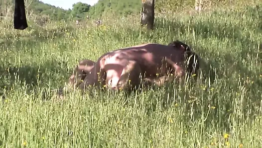 Roberta Farnese'nin sikilmesi gerekiyor (tam film)